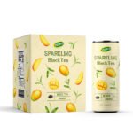 Sparkling Fruit-Flavored Slimming Tea - Image 3